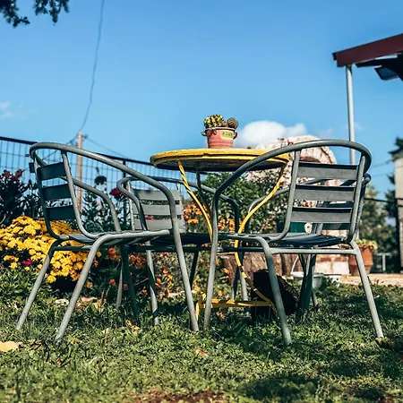 The Lady Of The Διαμέρισμα