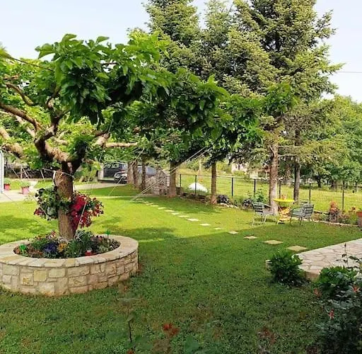 The Lady Of The Apartament Kalívia