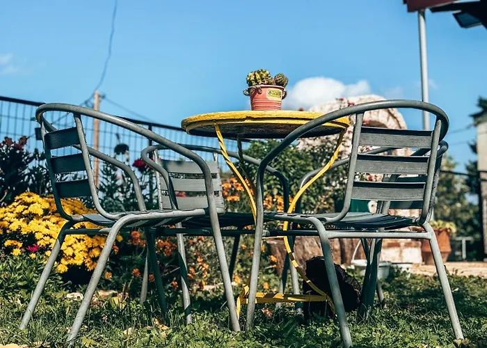 The Lady Of The Apartament